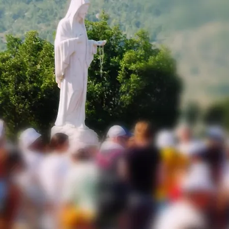 Pansion Ruzic Casa de hóspedes 3*