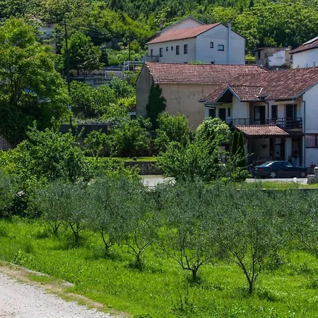 Pansion Ruzic Guest house *
