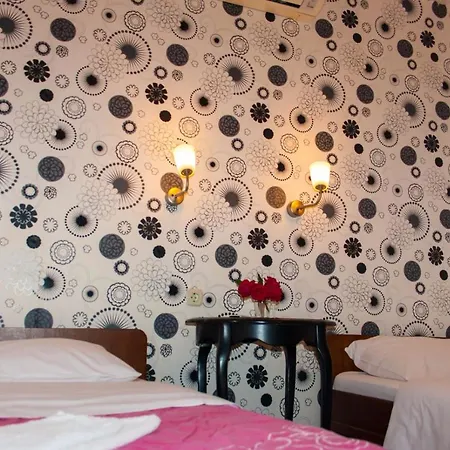 Guest house Pansion Ruzic *